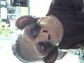 videos de Monkey Boy Owen