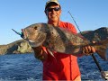 Mediterranean Spearfish Record K.g. 39,400