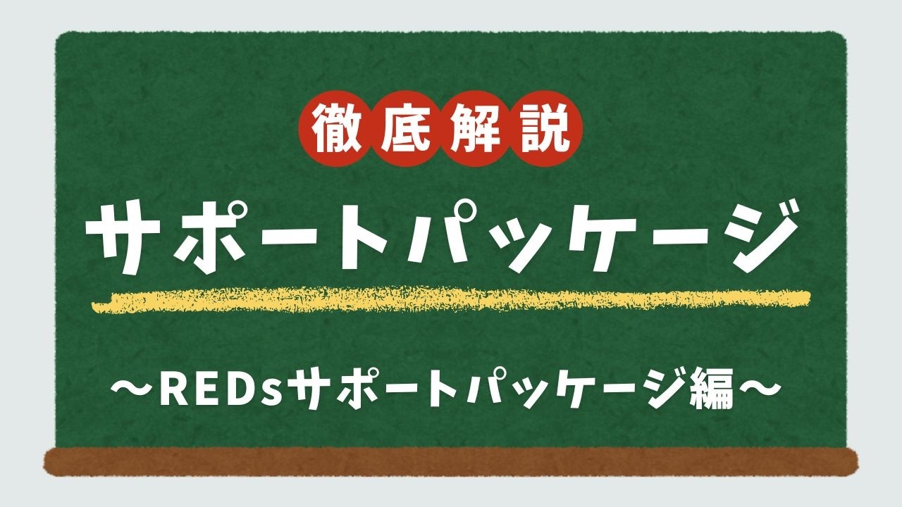 【サポートパッケージ】REDsサポートパッケージ