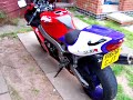 zx7r