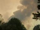 Manahawkin Wildfire