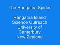 The Rangatira spider.wmv