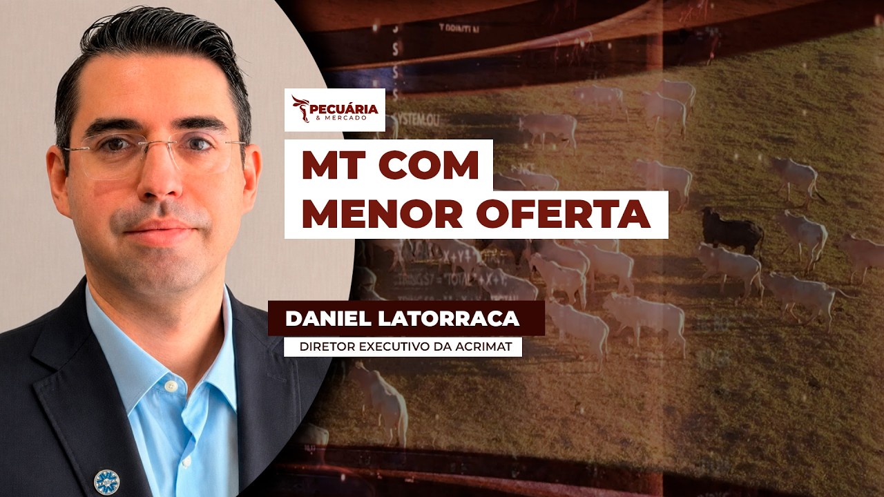 Acrimat prevê  menor oferta no segundo semestre com revisão no confinamento e menor abate...