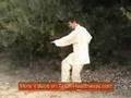 Shaolin Qigong: Luohan 13 Forms Chi Kung
