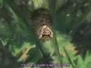 skatman-video-diego.html