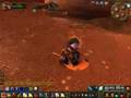 Best of Pala