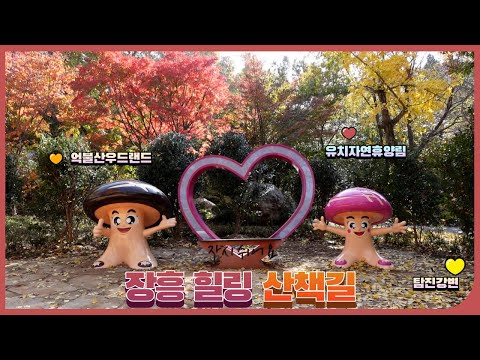 장흥 힐링 산책길(우드랜드, 탐진강변, 유치자연휴양림) 