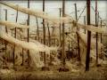 videos de Abandoned greenhouse by the sea