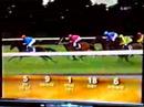 2001 melbourne cup
