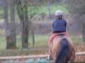 poun et perle.wmv