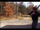 Baseball Tennis
