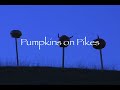 Tara Firma Farms in Petaluma California Pumpkin on Pikes