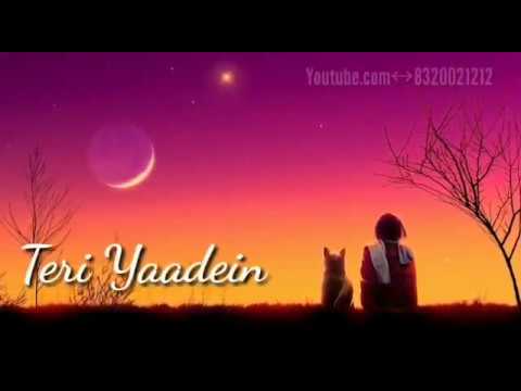 Teri yaden