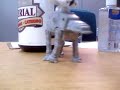 starwars toy race eps 2