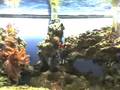 40 gal Saltwater Reef Tank