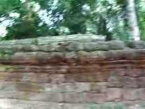 Ancient Temples of Angkor