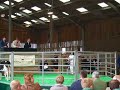 Ridgefield Pledge & Ridgefield Added Pledge sell for 14,000 guineas each.