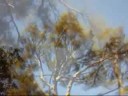 NATURE ET SONS DE L\