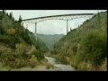 XXX drives car off bridge