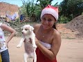 campanha LEO de natal (LEO SERIGY e LEO ATALAIA) Aracaju-SE