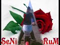 alem buysa kral biziz