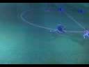 Fifa 09 funniest miss ever