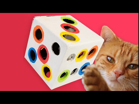 DIY Cat Toy - Dice