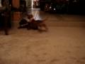 videos de Audrey and Mackenzie Playing