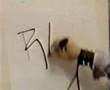 Documentary-On-Punk-