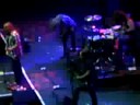Black Stone Cherry- Backwoods Gold