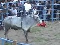 jaripeo ranchero en santa ana del valle, tlac, oax.