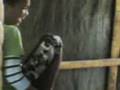 videos de PNK