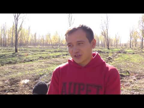 Просмотр видео