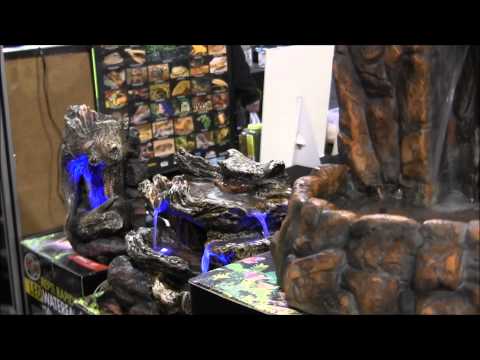YouTube reptile video