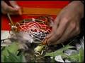 RED HAWK PT. 7 DREAM CATCHER