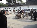 katua shanghaissa