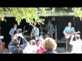 The Skylarks - You've got what I like