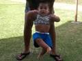 baby cedes