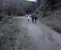 sprint