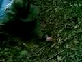 muncey falling over