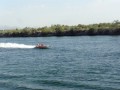 videos de Eliminator Daytona