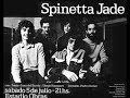 SPINETTA JADE - Amenábar - Obras 1979