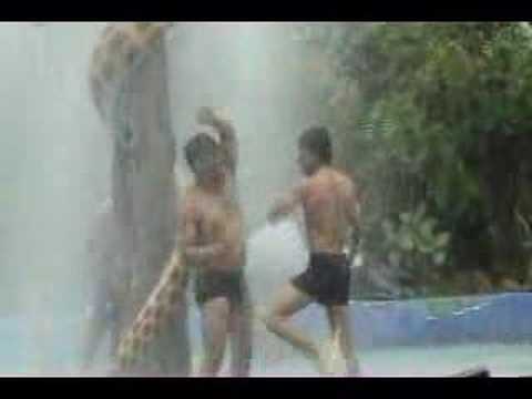 Indian Waterpark