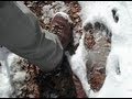 Bigfoot Bigfoot Bigfoot : He's out there folks!