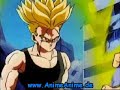 Tribute to Trunks Tribute to Trunks