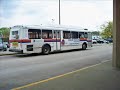 Long island bus-242 Long island bus-242