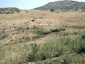 sharri luboteni tetova albania