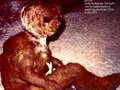 Strange Alien Creature