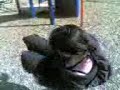Park Time With Brittany, Amron and Selena