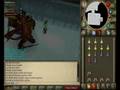 steve mo0 at zamorak boss (zammy)